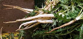 Von Erde gereinigte Askolimbros Von Erde gereinigte Askolimbros