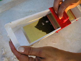 gef�llte Weinbl�tter im Nu