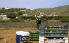 Die Bew�sserung wird vorbereitet