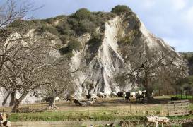 Eine Ziegenherde vor den Mergelbergen in Potamida Eine Ziegenherde vor den Mergelbergen in Potamida