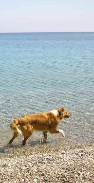 M�ge sie immer im Licht wandeln, meine Gute.