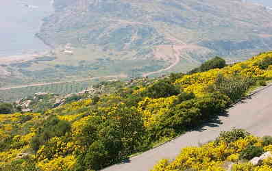 Blick von der Westk�stenstrasse hinunter wie aus dem Flugzeug