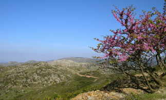 Ausblick von Milia Ausblick von Milia