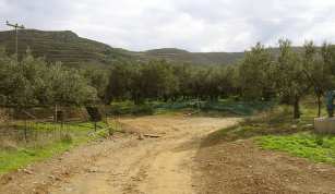 an dieser Gabelung muss man rechts gehen!