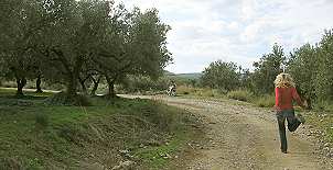 schon biegt der Weg wieder in die richtige Richtung