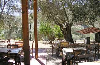 Oasis - eine Oase der Ruhe