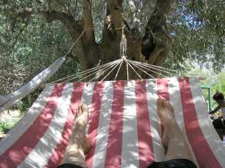 Oasis - ein Ort auch zum abh�ngen!