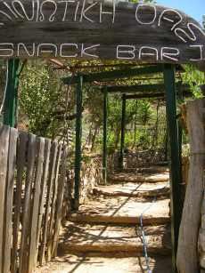 Oasis - Retaurant und Ausflugslokal in Sougia