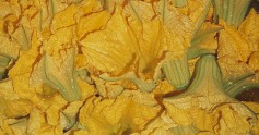 Zuccini2