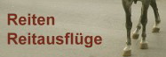 Reiten