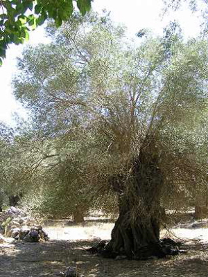 Peripherie und Mitte.